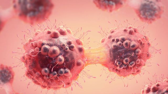 Illustration of pink/orange cancer cells dividing. 