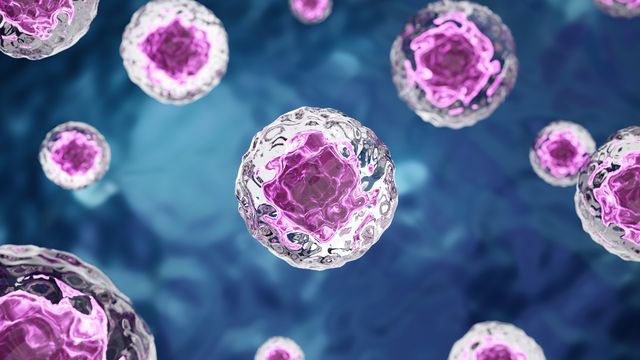 Purple human cells floating on a blue background. 