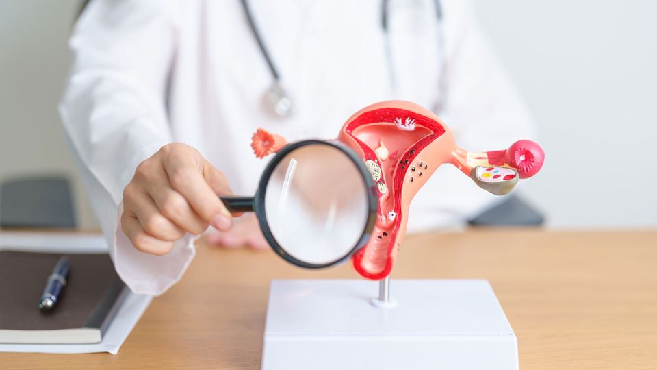 A clinician holds a magnifying glass over a model of the female reproductive system, illustrating focus on the ovaries.