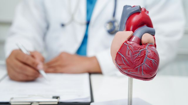 Doctor writing notes beside anatomical heart model used for heart attack diagnosis explanation. 