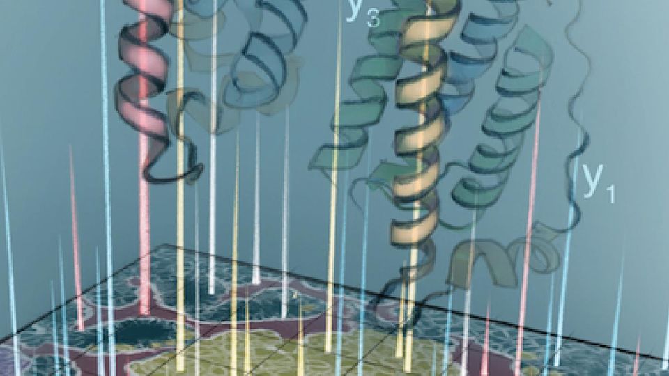 3D visualization of protein structures and spatial data used in deep visual proteomics analysis.