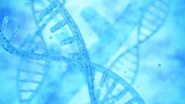 Close-up of blue DNA strands representing genetic changes linked to mitochondrial mutation. 