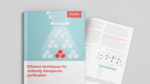 Efficient techniques for antibody therapeutic purification document on grey background.