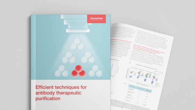Efficient techniques for antibody therapeutic purification document on grey background. 