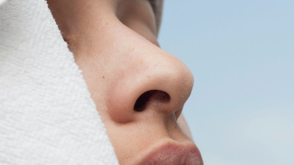 Close-up of a human nose, relevant to research on nose organoid development.