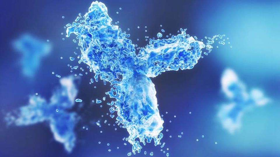 3D rendering of blue antibodies representing innovation and success in antibody development.
