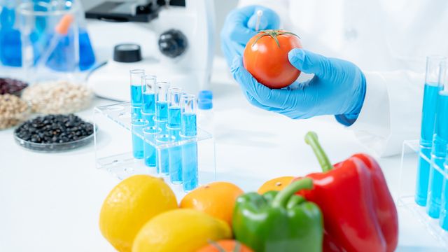 Scientist testing tomato for PFAS contamination in a lab with fruits, vegetables and test tubes. 