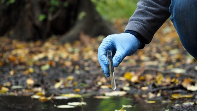 How FT-IR Imaging Can Identify Microplastics in Environmental Samples 