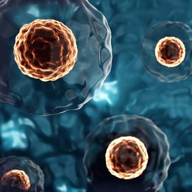 cellular-mechanism-that-drives
