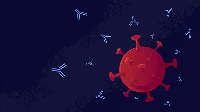 Graphic of a virus (red) being targeted by monoclonal antibodies. 