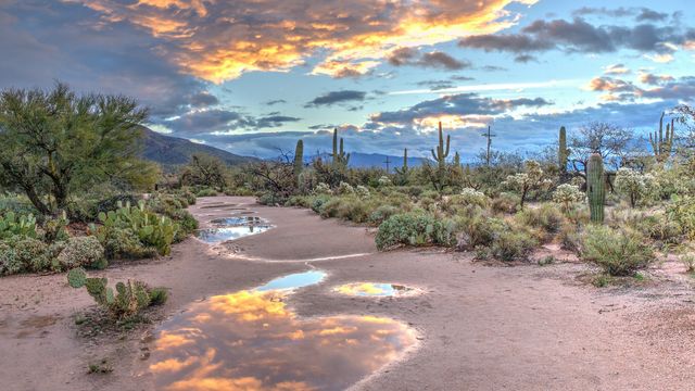 Human Factors Outweigh Climate in Depleting Arizona’s Water Supply – Technology Networks