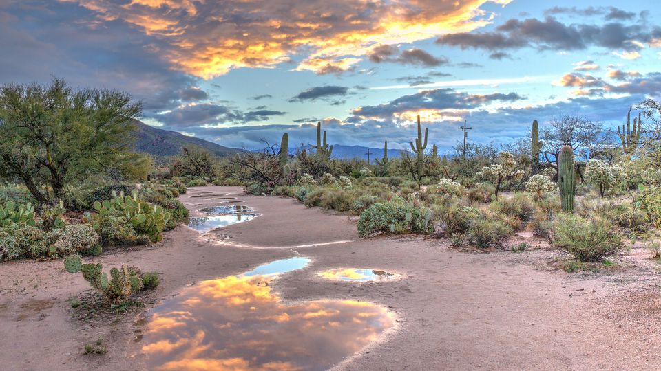 The Arizona desert landscape at sunrise, with shallow puddles of water in the foreground.
