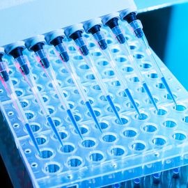 Multichannel pipette dispensing samples into a 96-well plate during high-throughput screening. 