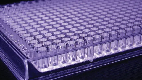 A purple transparent sample storage plate on a black background.