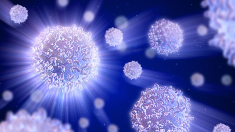 3D illustration of activated CD8+ T cells emitting light rays against a dark blue background.