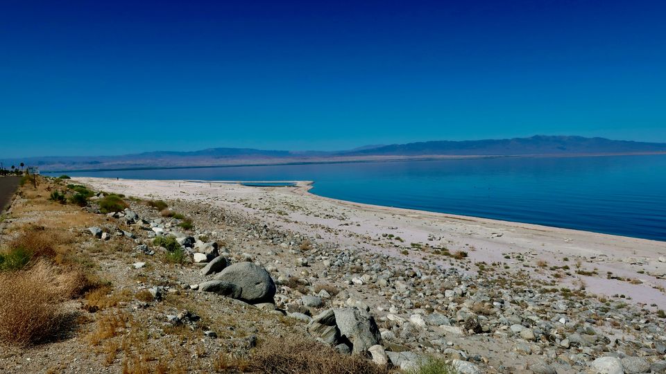 A photograph of the sandy shores at the edge of the Salton Sea, with the lake's water visible in the background.