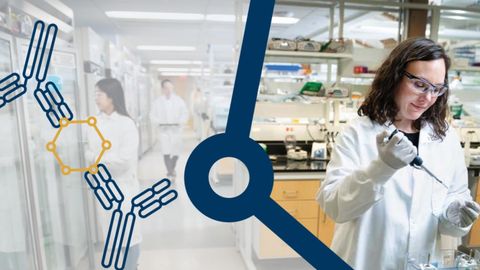 Accelerate Antibody Pair-Based Immunoassay Success