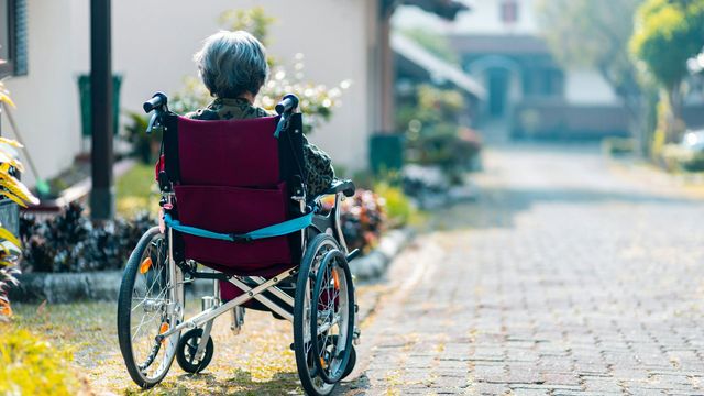 An elderly person sits in a wheelchair, facing out into a garden. 
