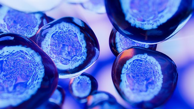 3D rendering of stem cells under a microscope, highlighting their structure and regenerative potential. 