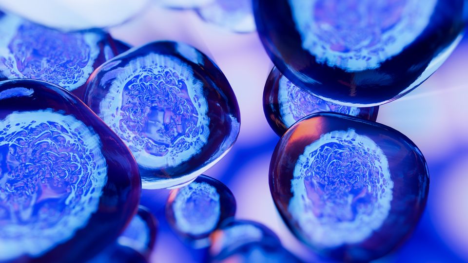 3D rendering of stem cells under a microscope, highlighting their structure and regenerative potential.