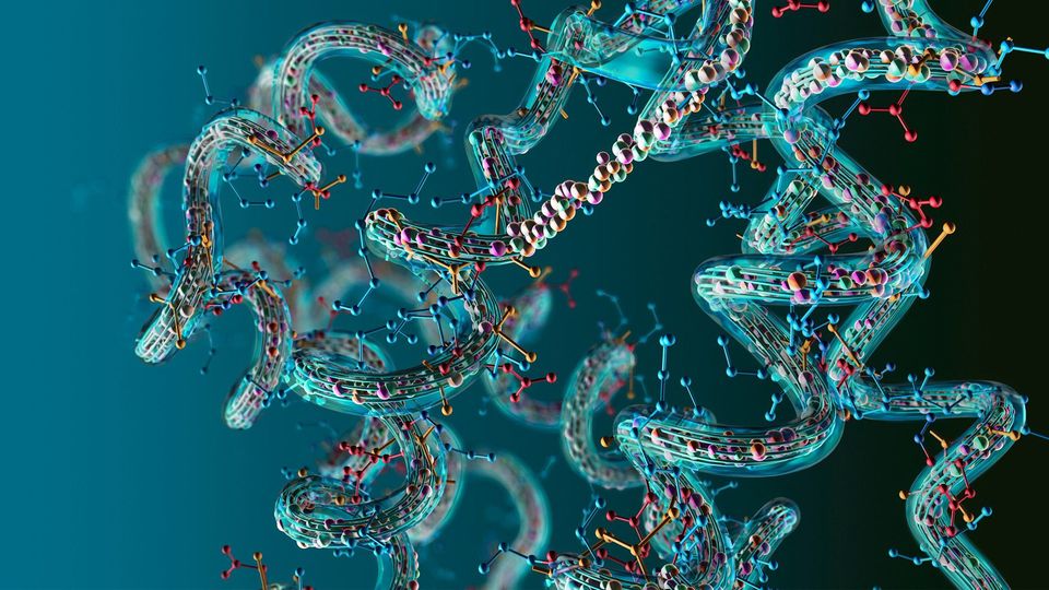 3D model illustrating protein dynamics and structure analysis.