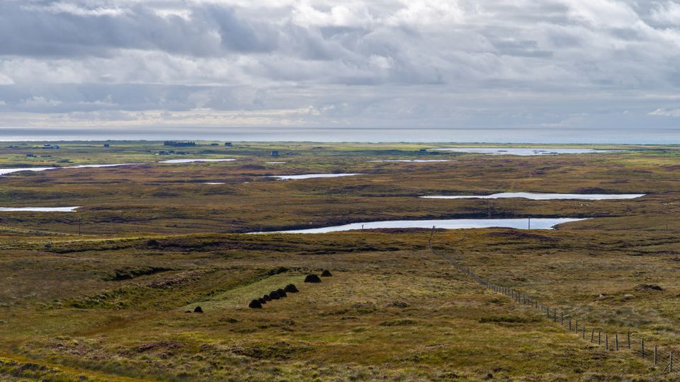A peatland landscape on a cloudy day.