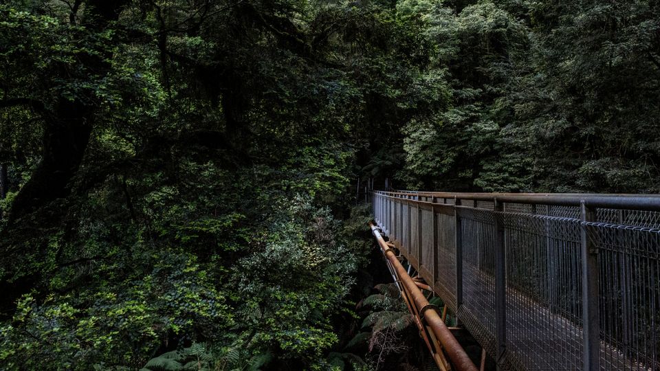 A metal suspension bridge connecting the rainforest canopy.