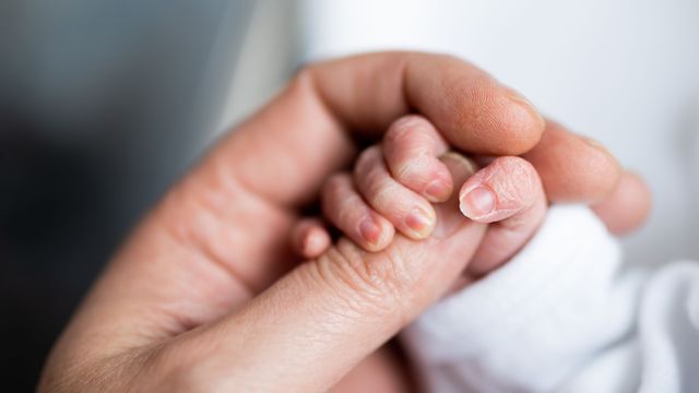 A small baby's hand holding the thumb of a parent. 