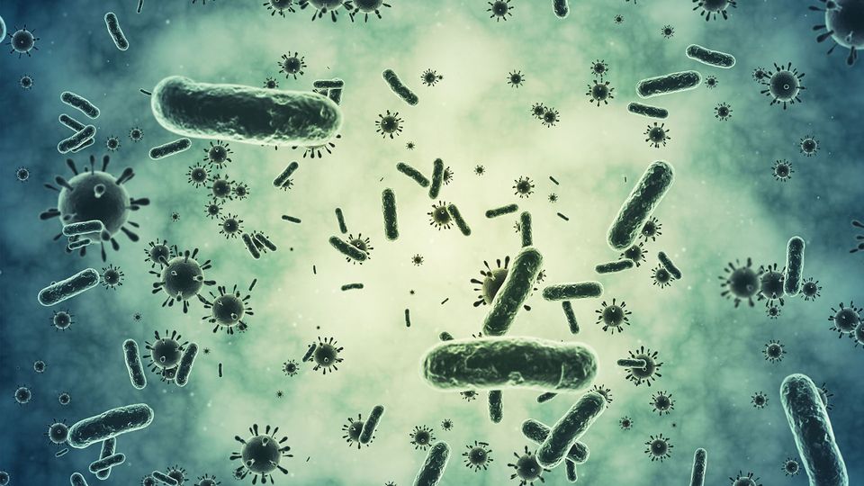 Illustration of multiple bacteria and viruses floating on green "infected" background.