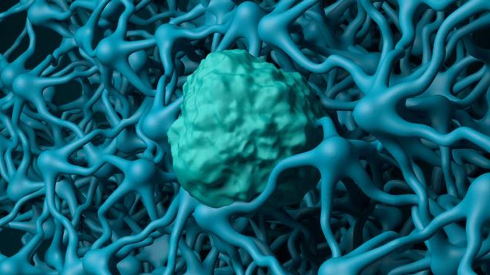 Improving assay efficiency for blood-brain barrier (BBB) integrity biomarker quantitation in neurovascular disorder  research using microflow LC-MS/MS