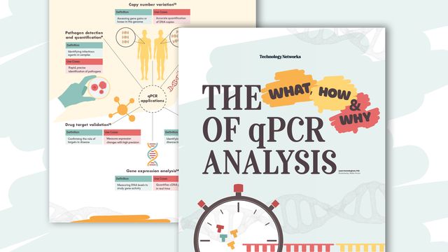 Infographic snippet. Text reads: The What, How and Why of qPCR Analysis 
