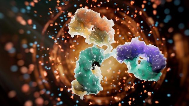 3D rendering of a GLP-1 protein structure highlighting molecular interactions for precise quantification. 