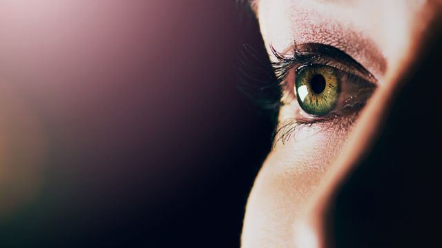 Close-up of a human eye symbolizing vision research and retinal stem cell therapy. 