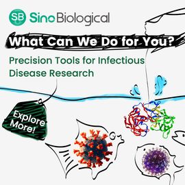 Sino Biological graphic showing a protein on a fishing line with virus-shaped fish and the tagline on research tools. 