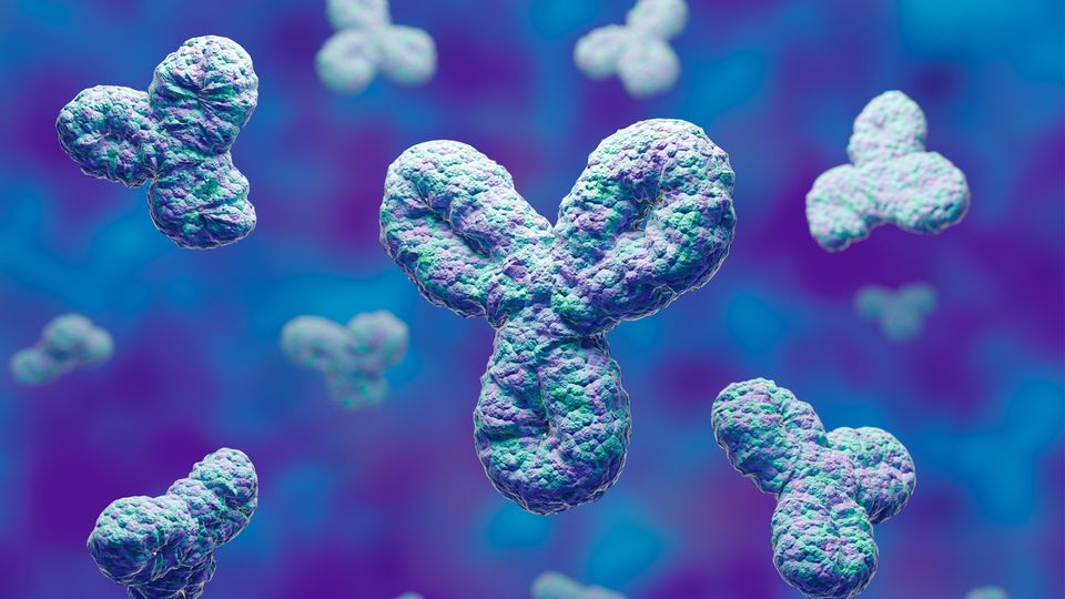 3D-rendered antibodies floating in a colorful blue and purple background.