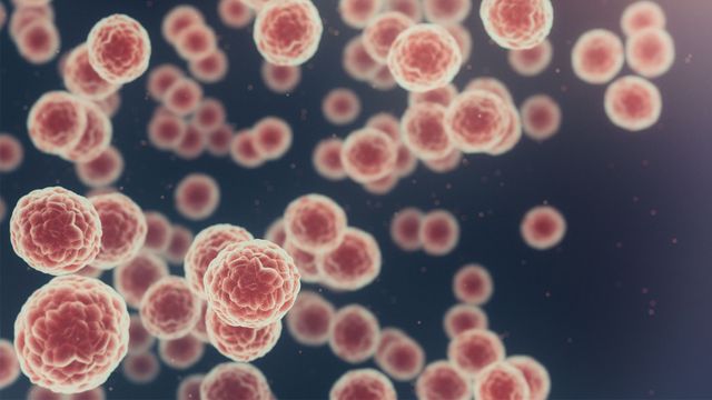 Cancer cells cluster on a dark blue background, looking like they're in ciculation. 