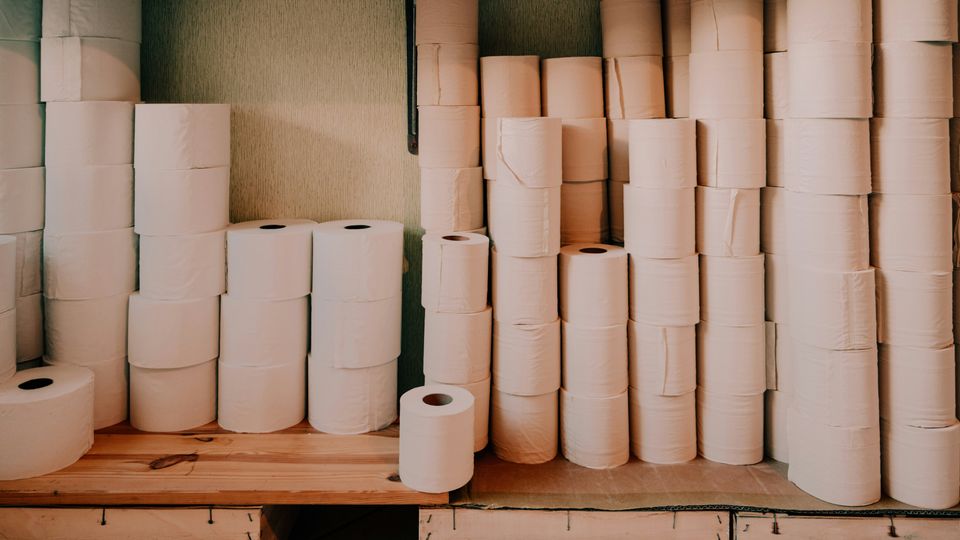 Towers of toilet paper rolls, sat on a wooden shelving unit. 