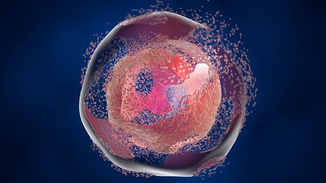 3D illustration of a single cell under analysis, representing single cell sequencing research. 