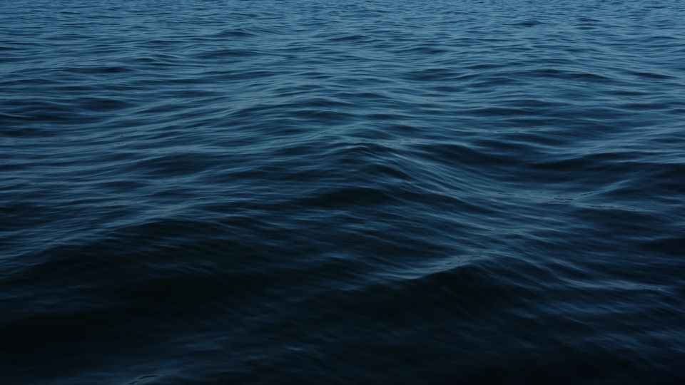 Surface of dark ocean water, representing the hidden ecosystem of ocean microbes below.