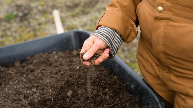 A farmer in orange overalls standing next to a large bucket of soil, rubbing a small amount of it between their fingers. 