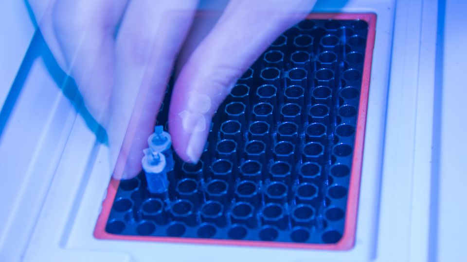 Hand placing PCR tubes into a thermal cycler for DNA amplification in a laboratory.