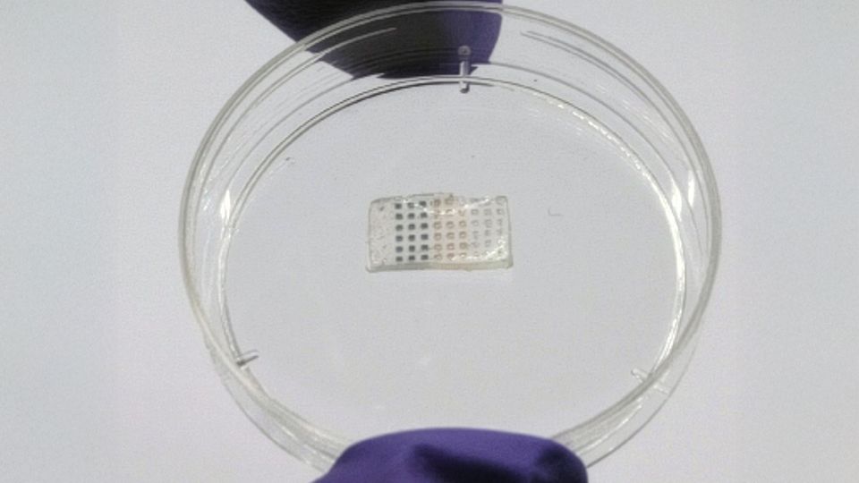 The programmable drug-delivery patch.