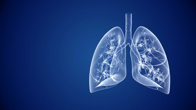 Illustration of human lung structure on a dark blue background. 