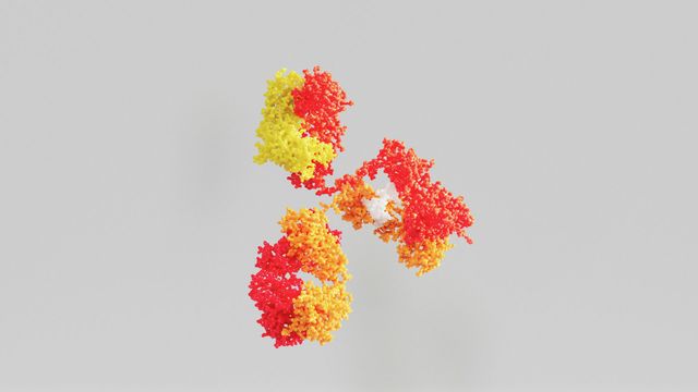 3D molecular model of a therapeutic antibody structure used in drug design and development. 