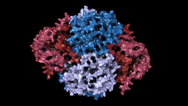 The Enzyme That Stops DNA Production When Cells Have Enough
