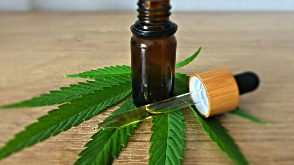 CBD oil dropper bottle placed on hemp leaves, representing cannabidiol extract use.
