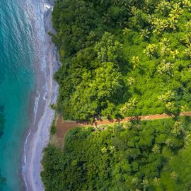 An aerial photograph of a dirt road through a forest, connecting a larger road to the ocean coast. 
