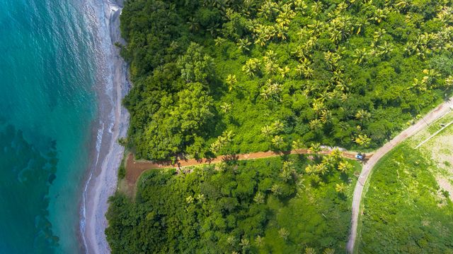 An aerial photograph of a dirt road through a forest, connecting a larger road to the ocean coast. 