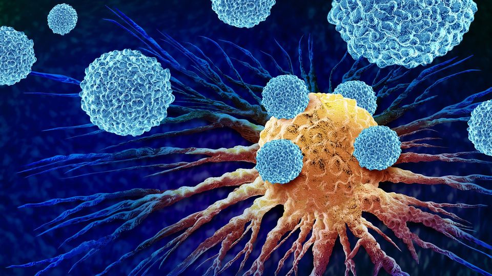 Illustration of an orange cancer cell being targeted by light blue immune cells.