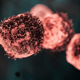 Close-up 3D rendering of cancer cells highlighting surface detail relevant to cell signaling. 